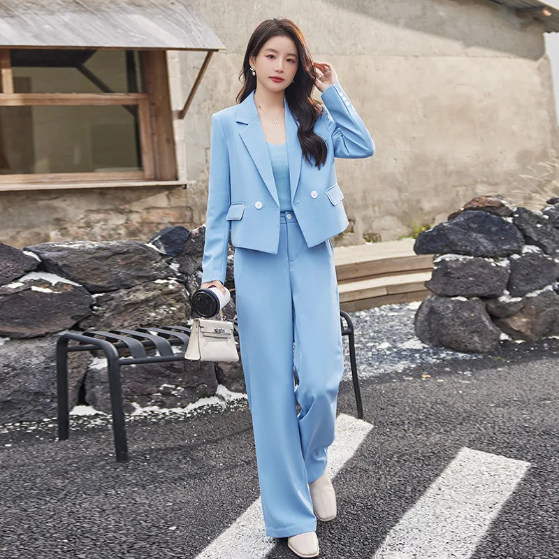 2023 Kostiumo švarkas Moteriškas pavasaris/vasara Korėjietiško stiliaus temperamentas Biuro apranga Interviu Oficiali apranga Darbo drabužiai Pilkas kostiumas