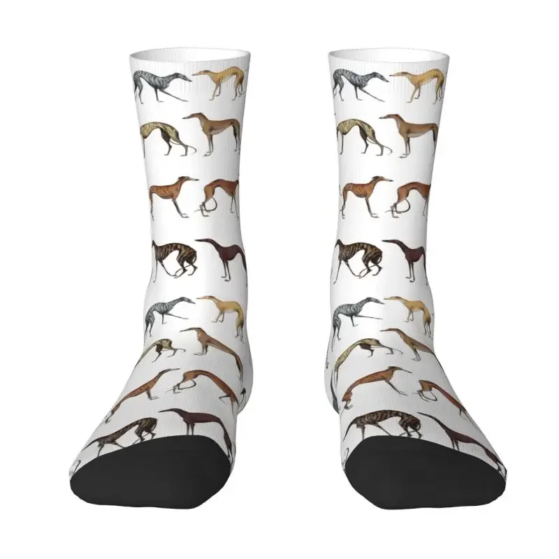 Mielos Whippet Sighthound šunų suknelės Kojinės Vyrai Moterys Šilta mada Kurtas Skalikas Įgulos kojinės